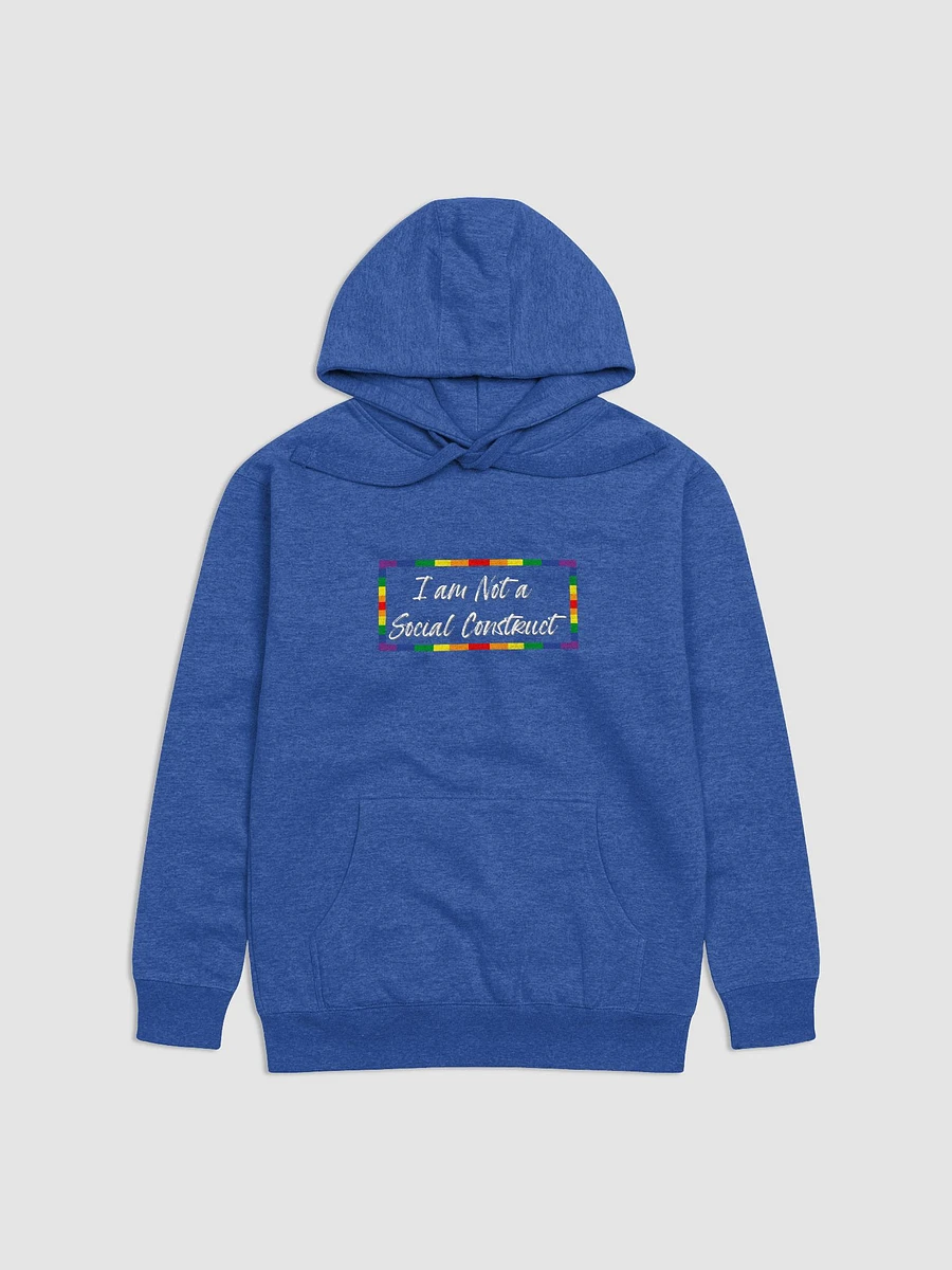 I am Not a Social Construct - Pride - Hoodie product image (1)