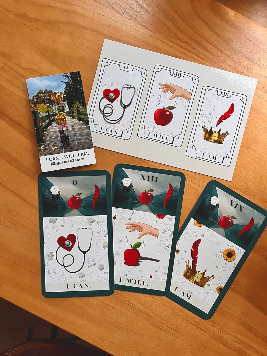 Red Feather Pin & Flash Cards product image (7)
