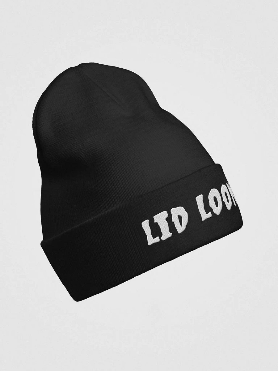 Lid Loonies Creepster Beanie product image (4)