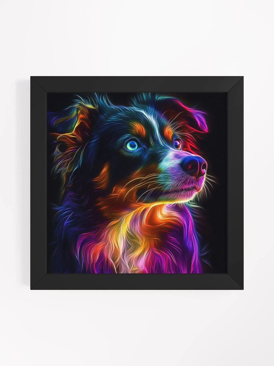 Australský ovčák, zářící product image (2)