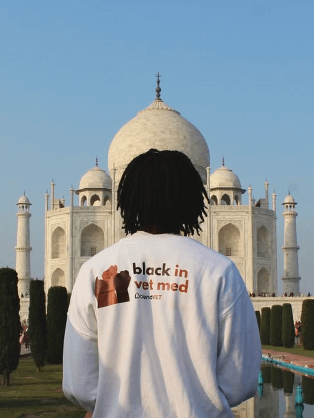 Black in Vet Med Crewneck Sweatshirt product image (2)