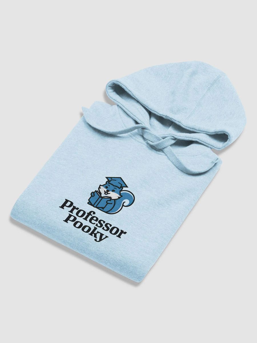 Super Soft Hoodie: Professor Pooky product image (6)