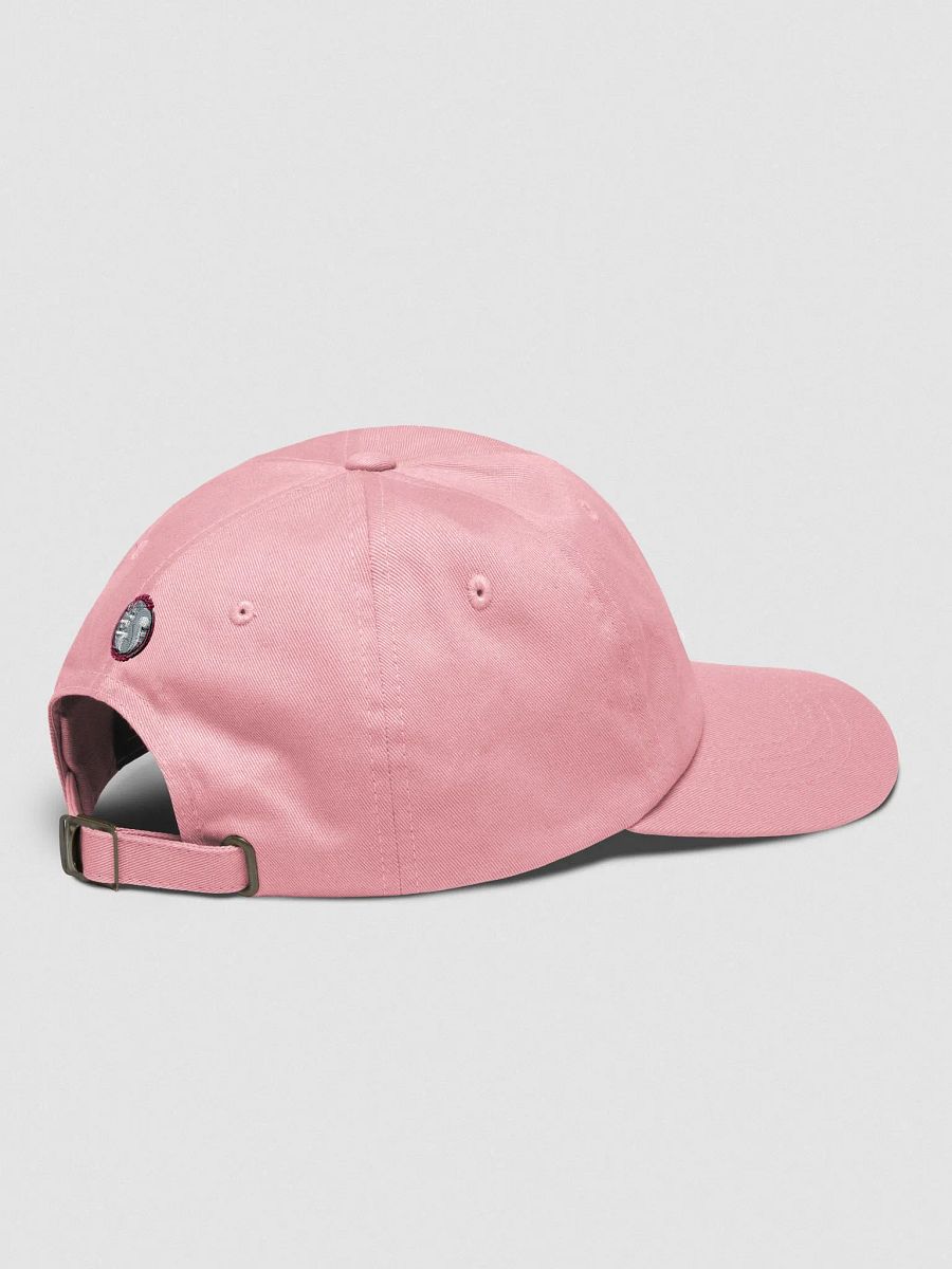 Baseball Hat, Embroidered: Pooky For Fair Wages product image (4)