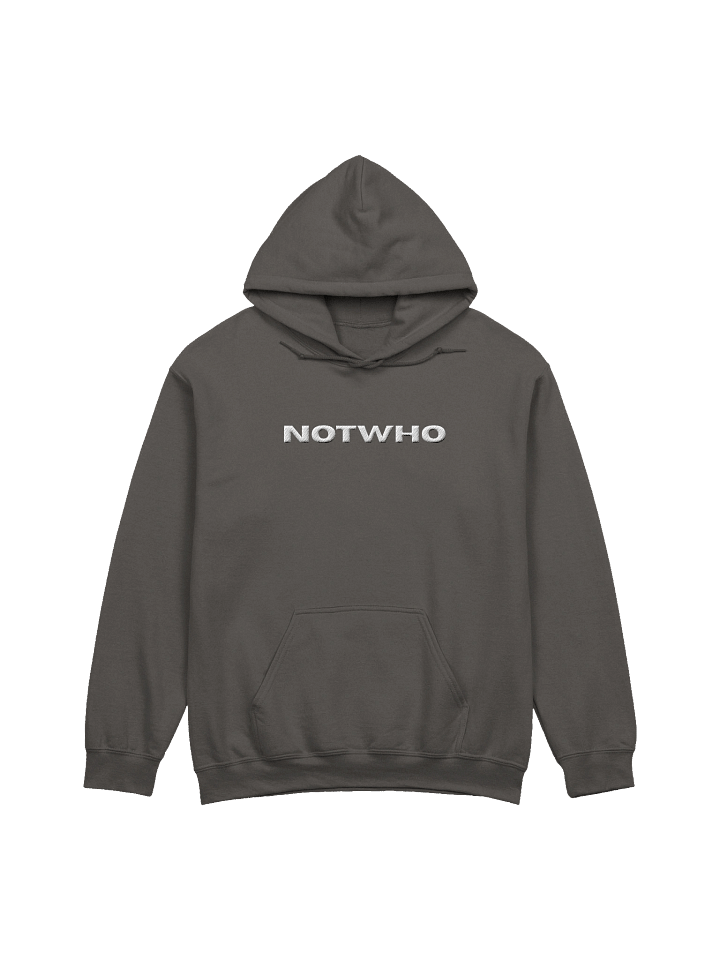 Embroidered Hoodie product image (13)