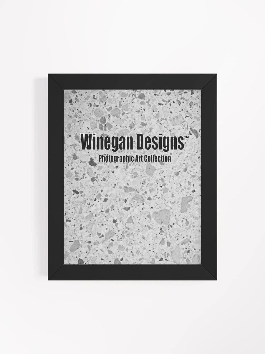 Winegan Designs™ Photographic Art Collection Matte Poster in Ayous Wood Frame product image (25)