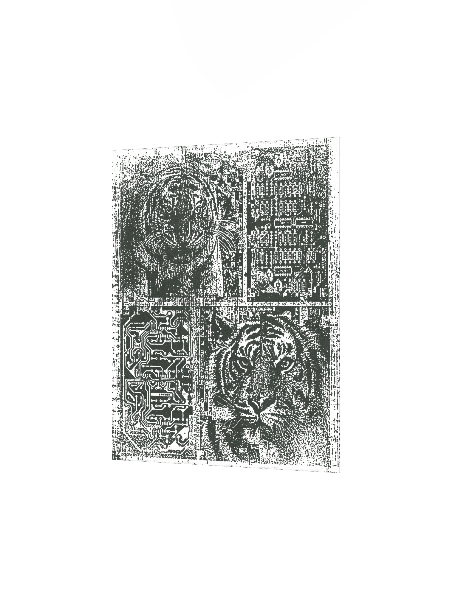 TIGER CHIP product image (2)