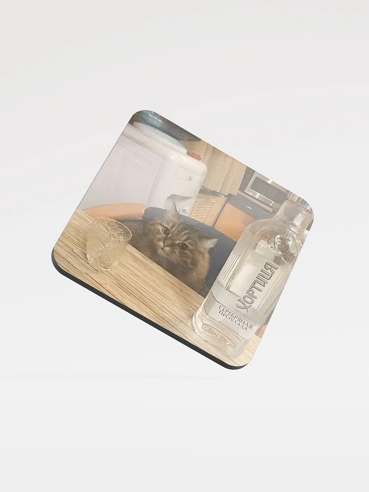 Glossed Cork Coaster: Meme Cats product image (1)