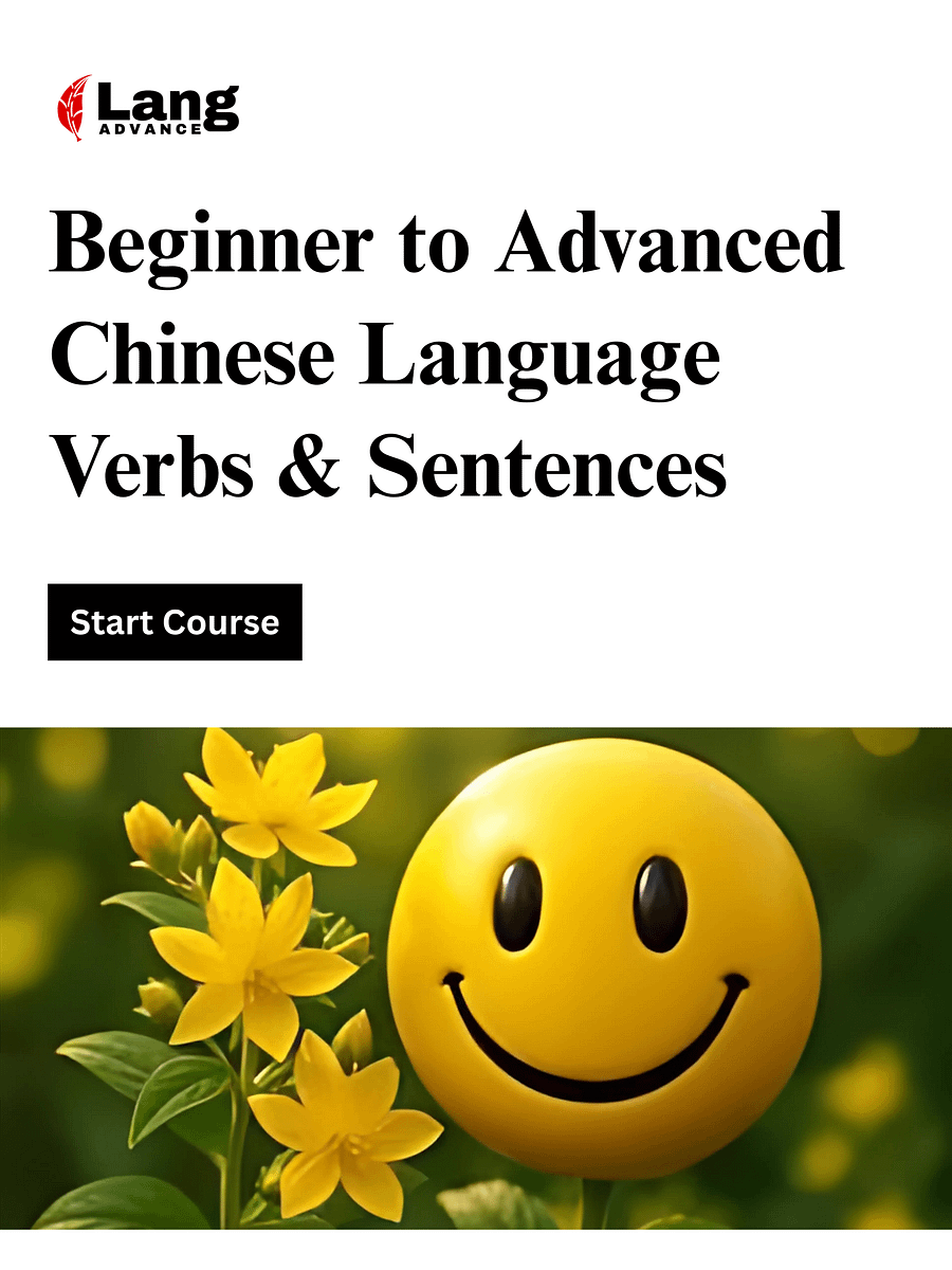 Beginner to Advanced Chinese Language Verbs & Sentences product image (1)