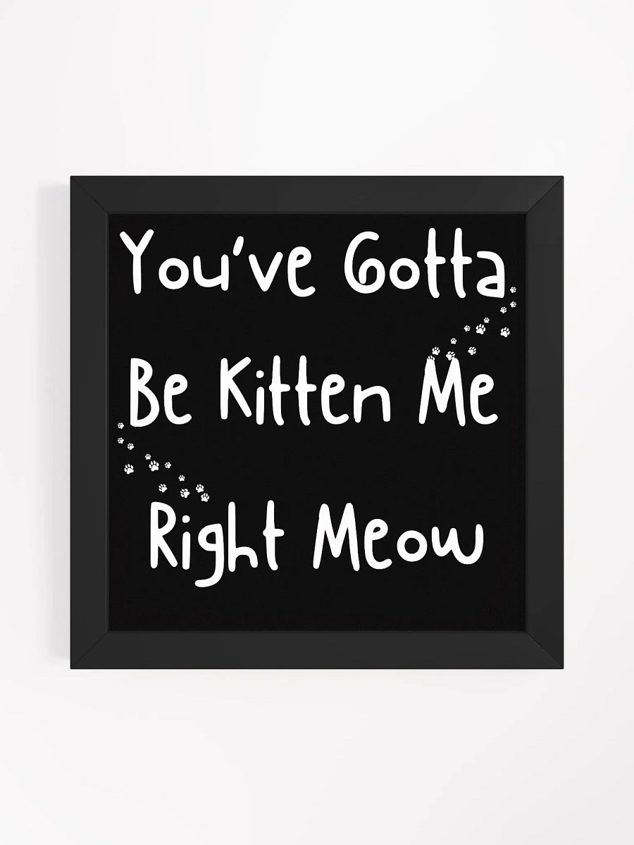 " YOU'VE GOTTA BE KITTEN ME RIGHT MEOW " CANVAS ART product image (15)