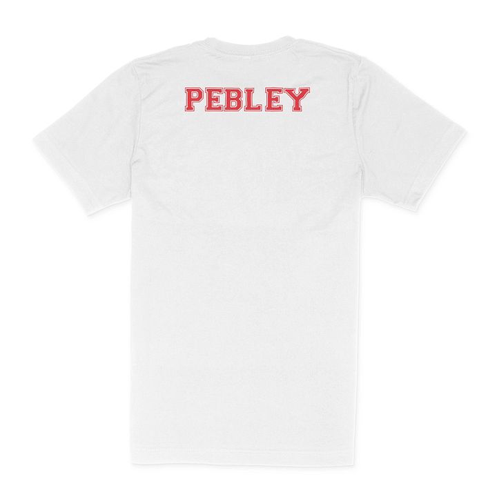 DC Trident Logo T-Shirt (PEBLEY) product image (1)