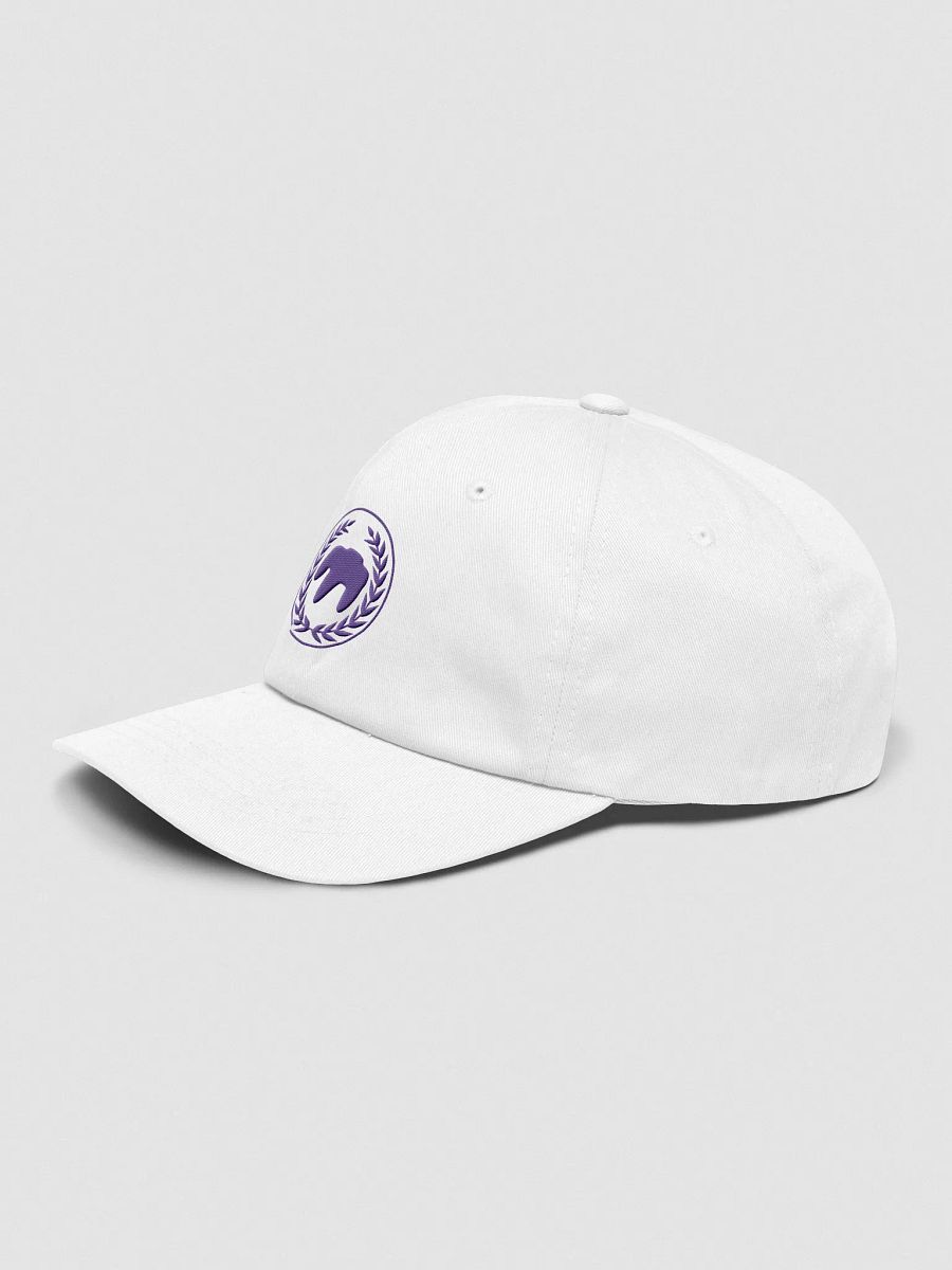 Purple OEM FormFrame and Associates LLC Hat product image (59)