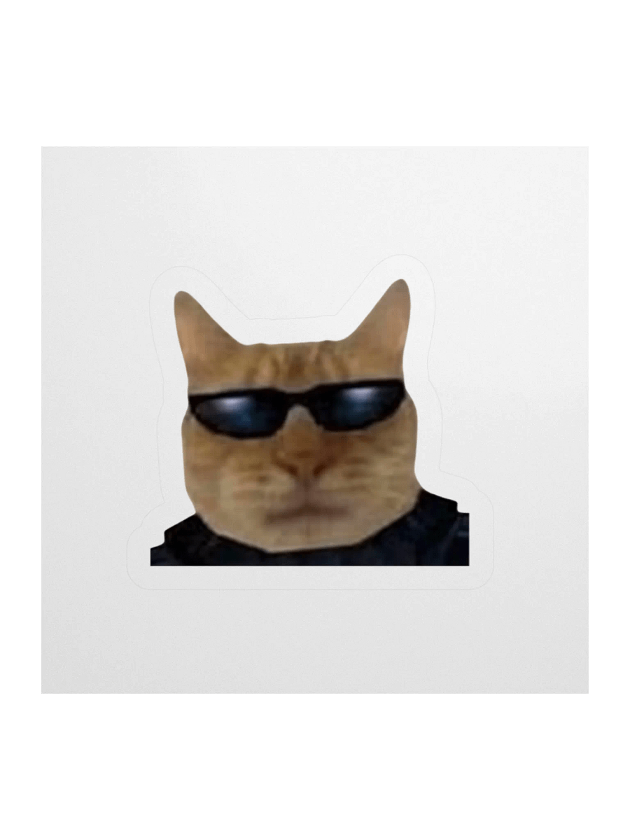 Cool Fuckin' Cat Sticker product image (1)
