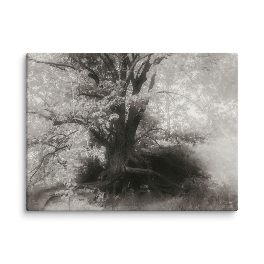 Old Lovers, entwined product image (1)