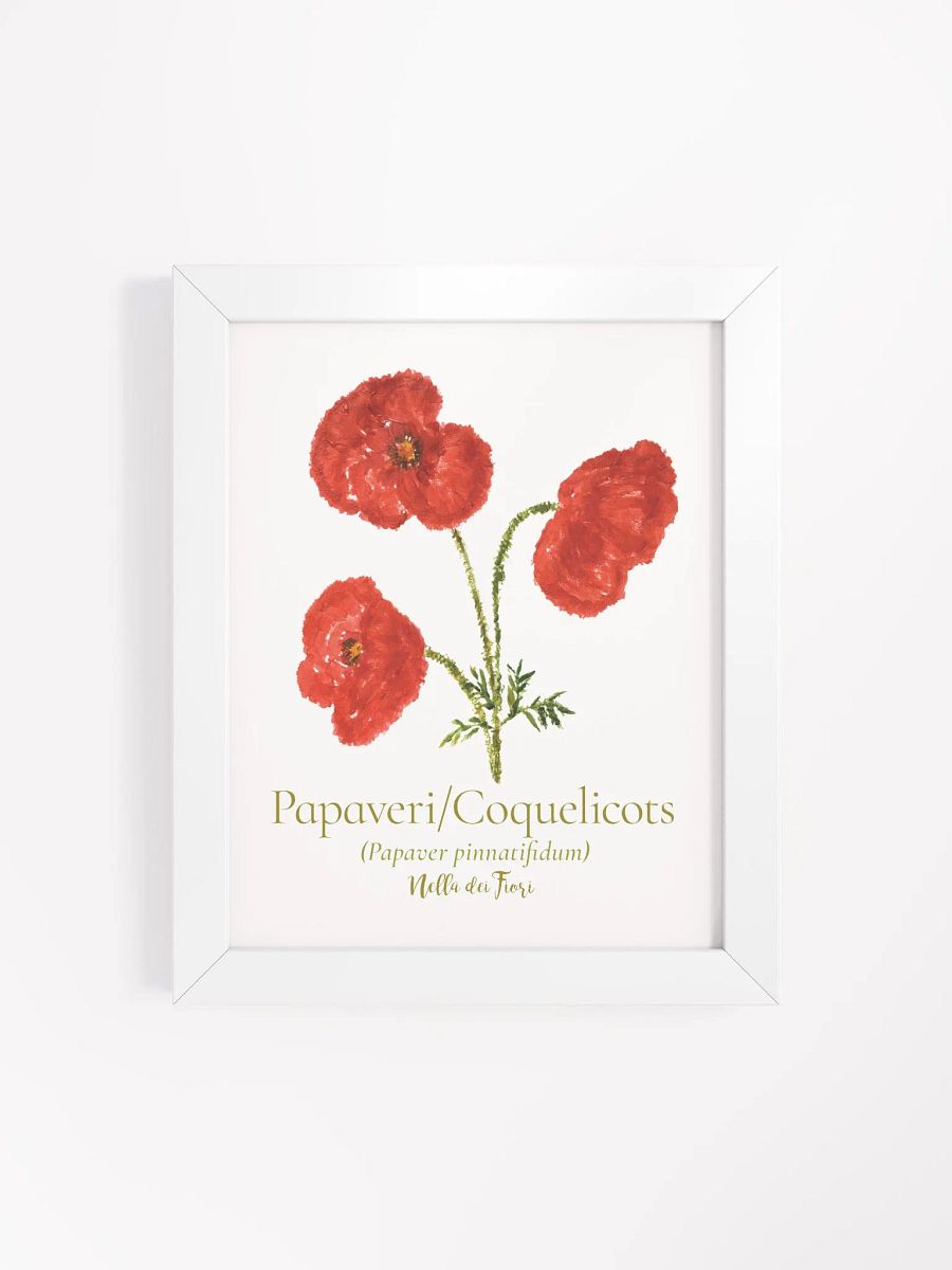 Papaveri Botanicus Frame product image (13)