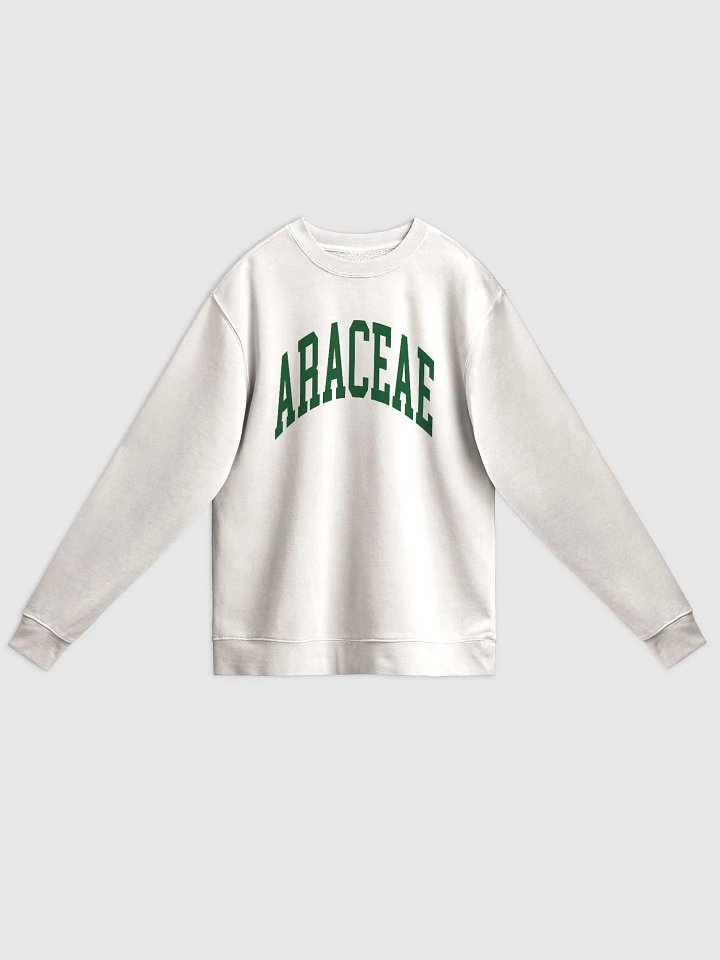 ARACEAE VARSITY - Midweight Pigment Dyed Sweatshirt product image (3)