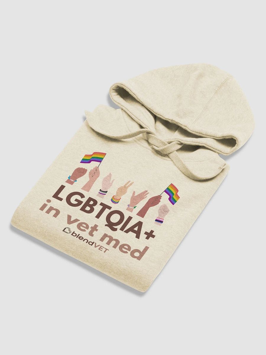 LGBTQIA+ in Vet Med Hoodie product image (6)