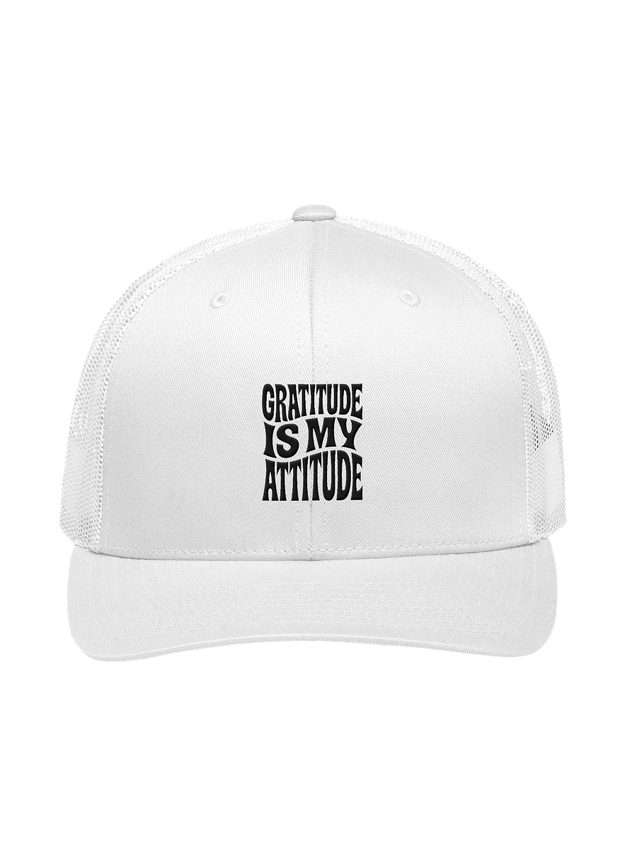 Gratitude Is My Attitude Retro Hat product image (7)