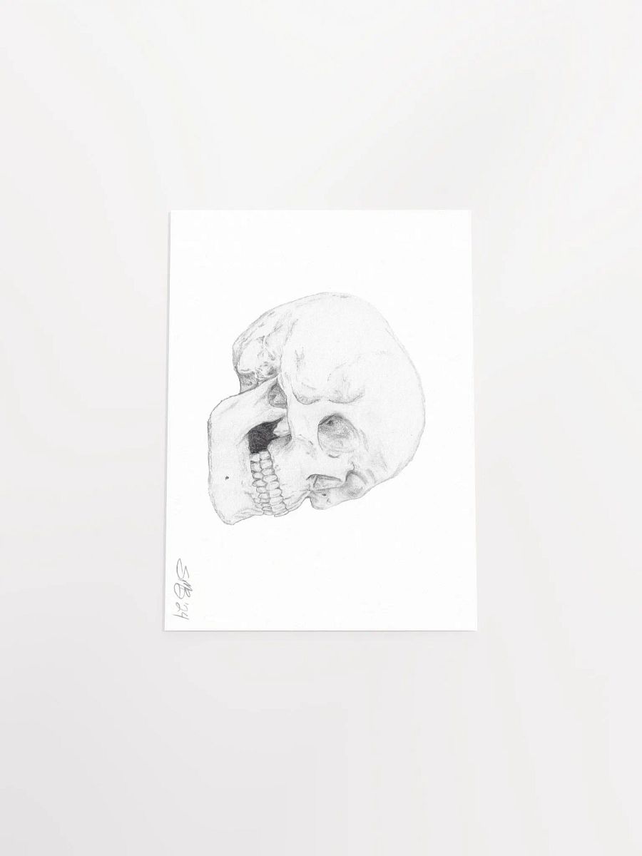 Skull Wall Art product image (7)