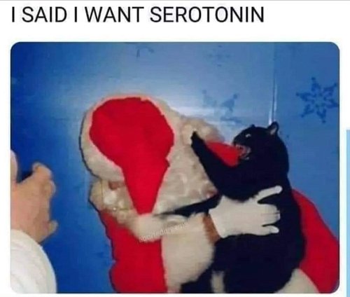 Is it too much to ask
#cats #cat #christmas #santa #happy #mentalhealth #funny #kitten #meow #memes #serotonin #blackcat