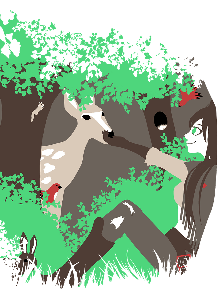 Arknights Meteor: Forest Friends .kra file product image (1)