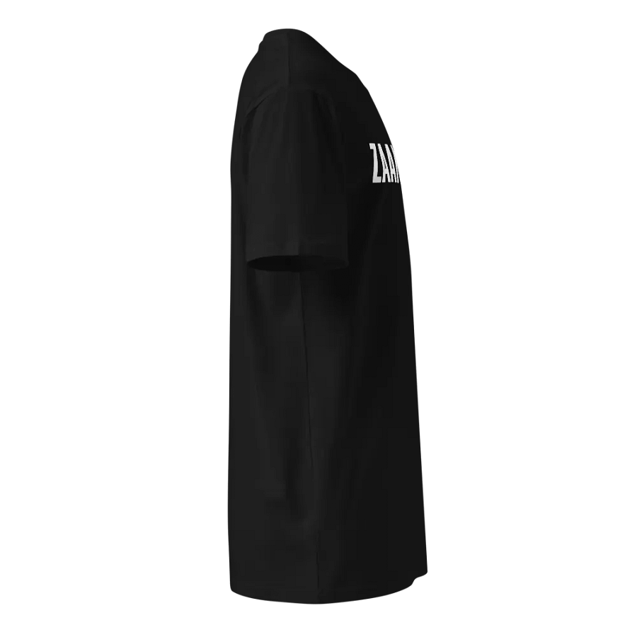 T-shirt (unisex) product image (4)