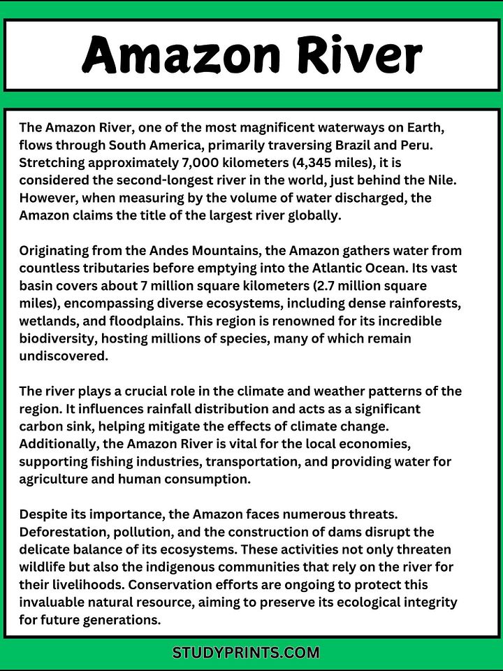 Amazon River Reading Comprehension Worksheet with Questions & Answers product image (1)