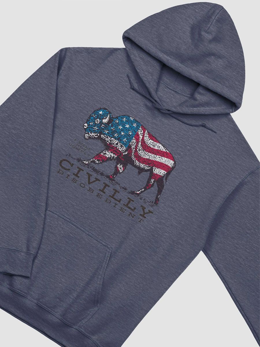 Defiant Bison Hoodie product image (16)