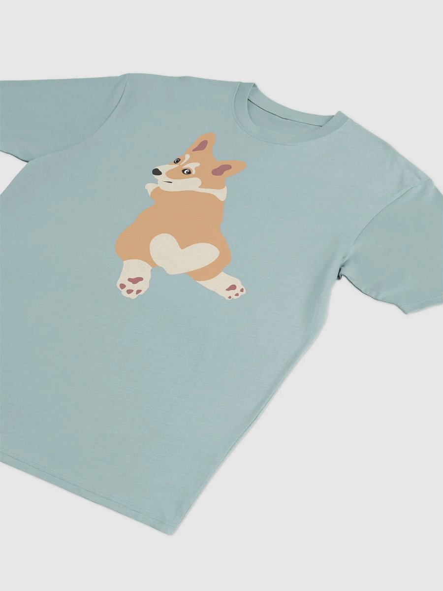 Corgi T product image (3)
