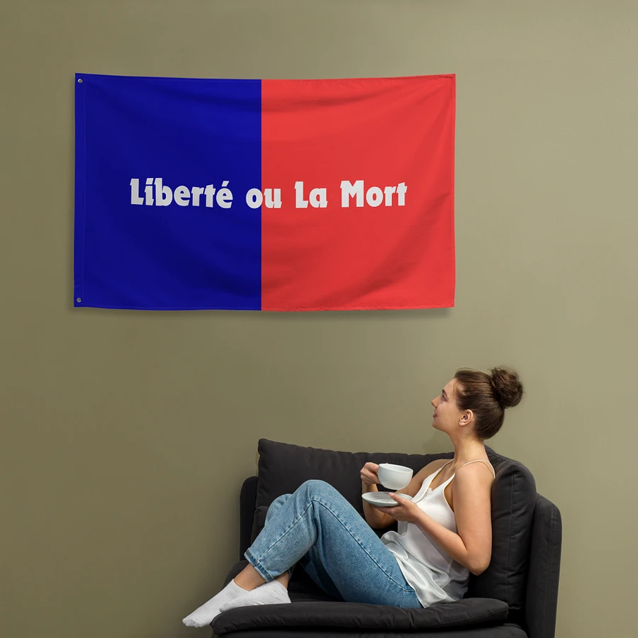 1803 Haiti Revolutionary Flag product image (12)