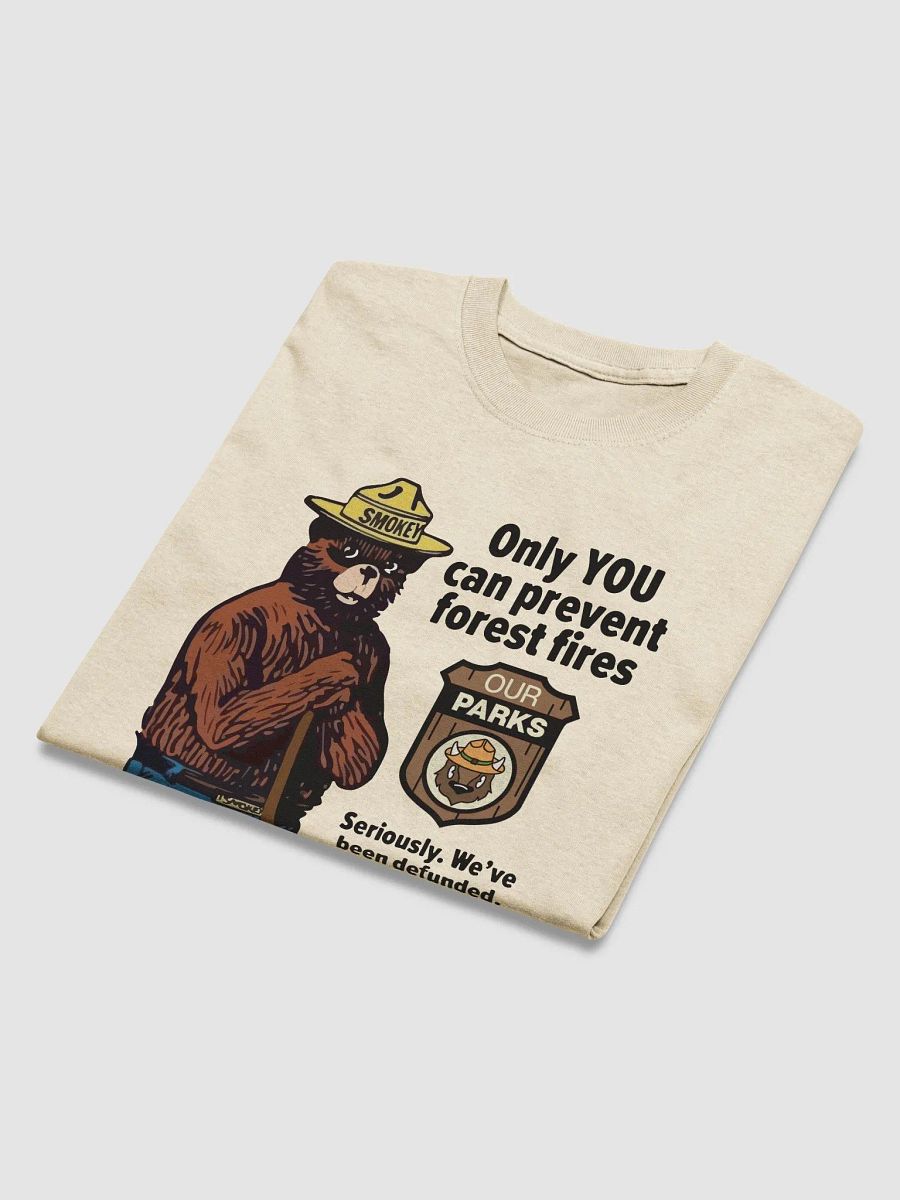 We've been DEFUNDED Smokey Our Parks Bear Heavyweight Alt National Parks T-Shirt product image (3)