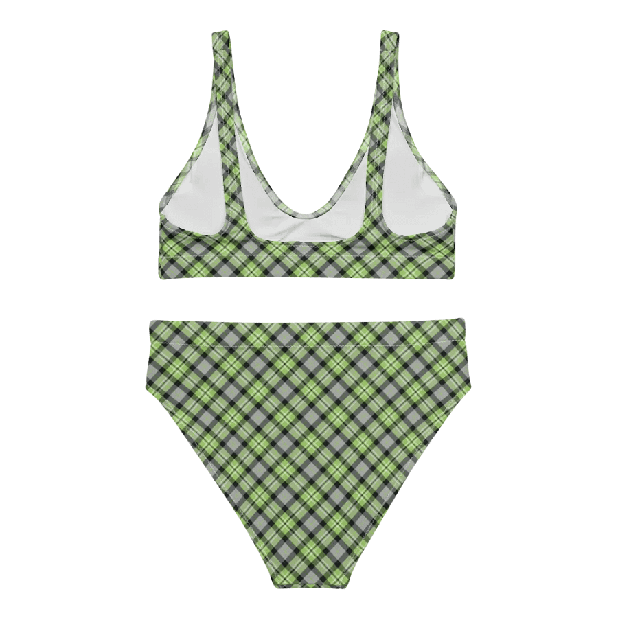 Light Green and Gray Plaid Bikini product image (4)