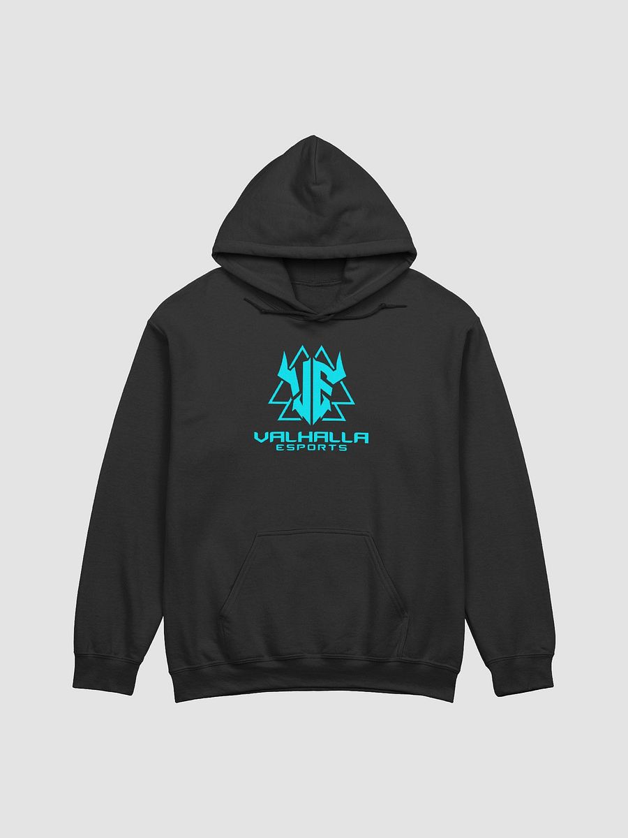 Cyan VE Logo Hoodie product image (7)