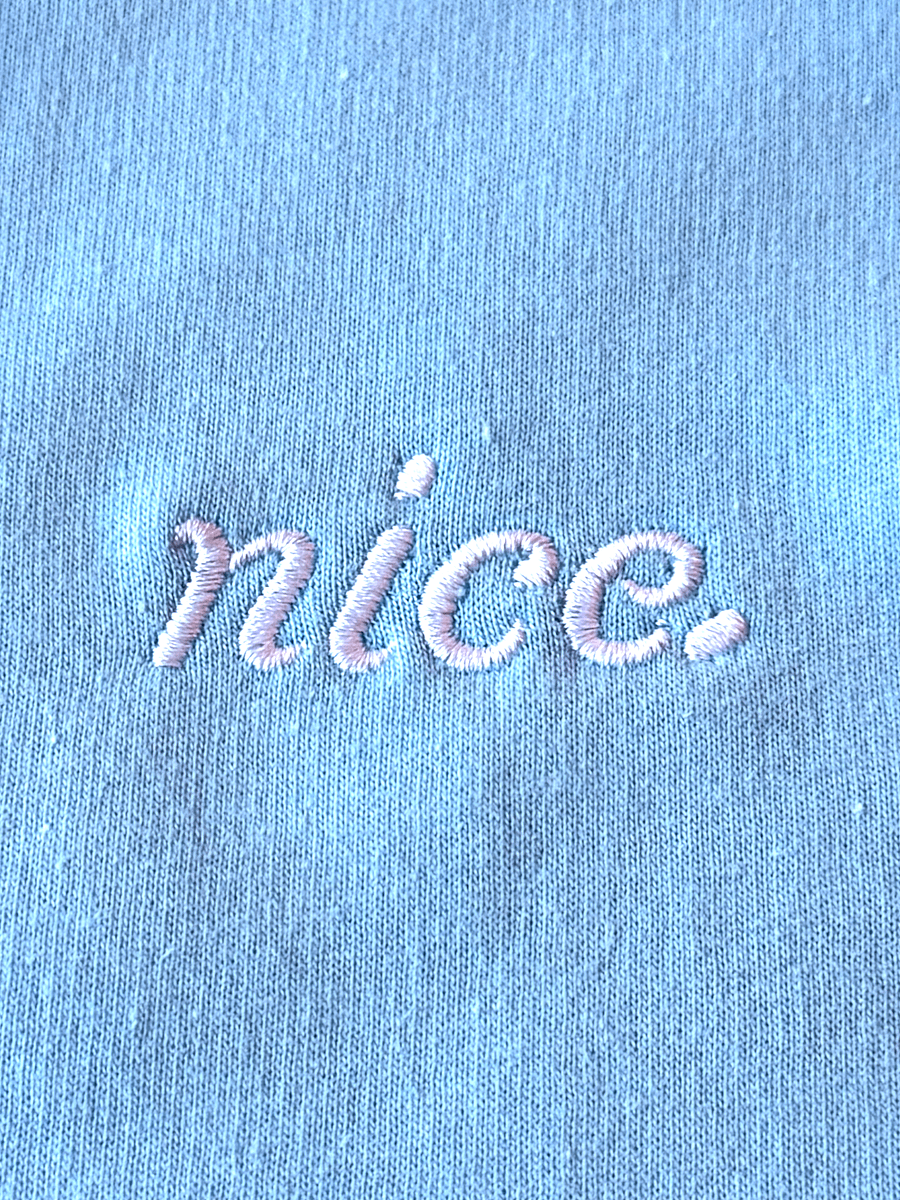 Nice. Athletics Embroidered Hoodie (Blue Aqua/White) product image (2)