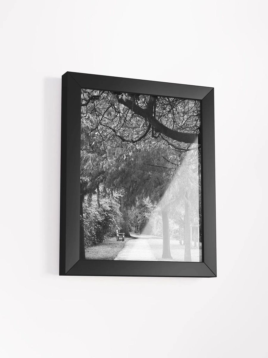 Autumn Walk product image (21)
