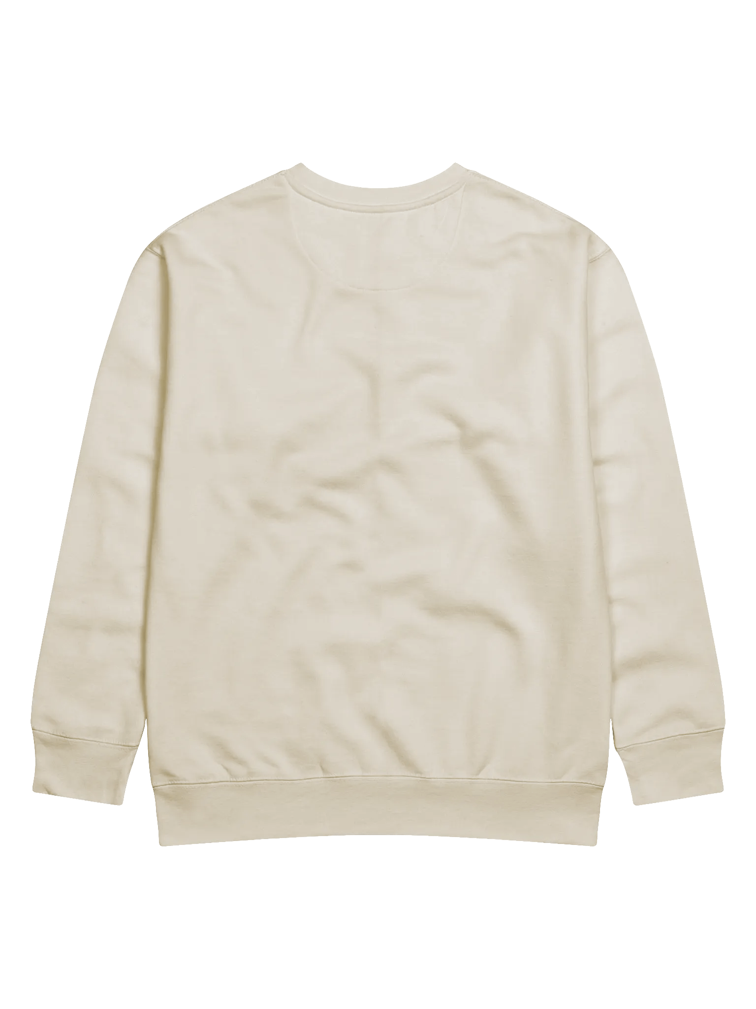 Stormy Plant Premium Sweatshirt product image (17)