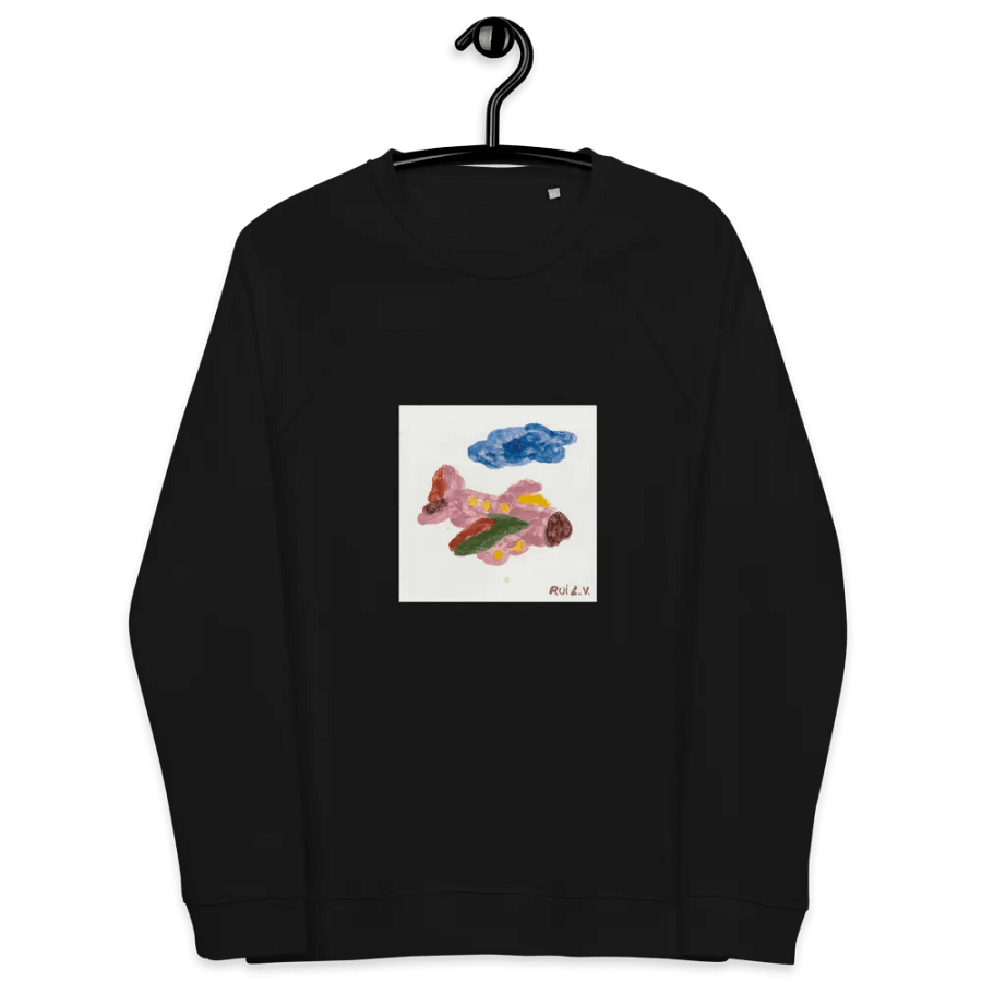 Kid Airplane (SOL'S Unisex Organic Raglan Sweatshirt) product image (4)