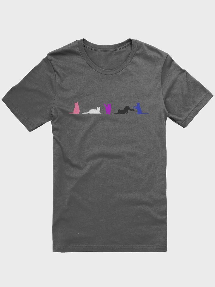 Genderfluid Pride Cats Women's Shirt product image (7)
