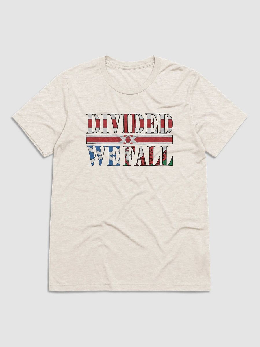 Divided We Fall - UK - Bella+Canvas Triblend Short Sleeve T-Shirt product image (2)
