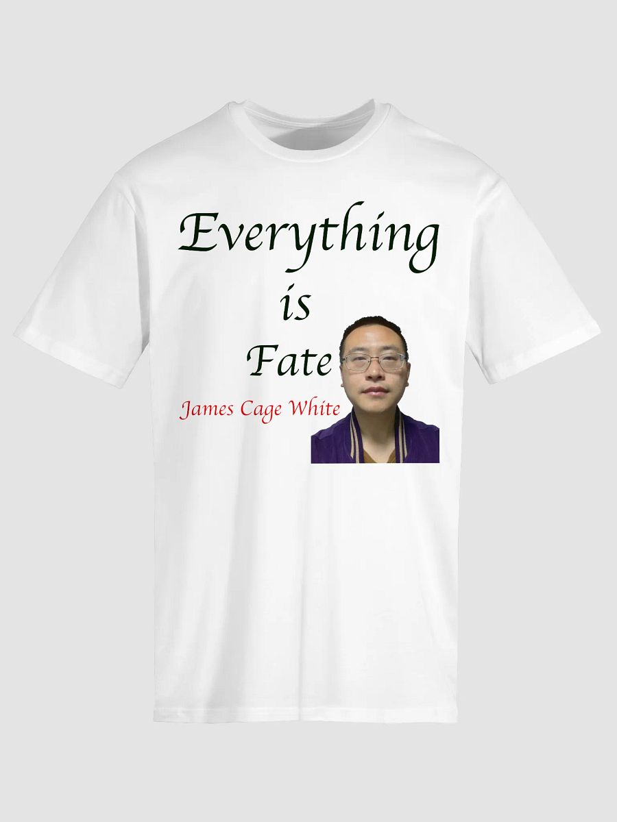 AS Colour Unisex Premium T-Shirt: fate product image (22)