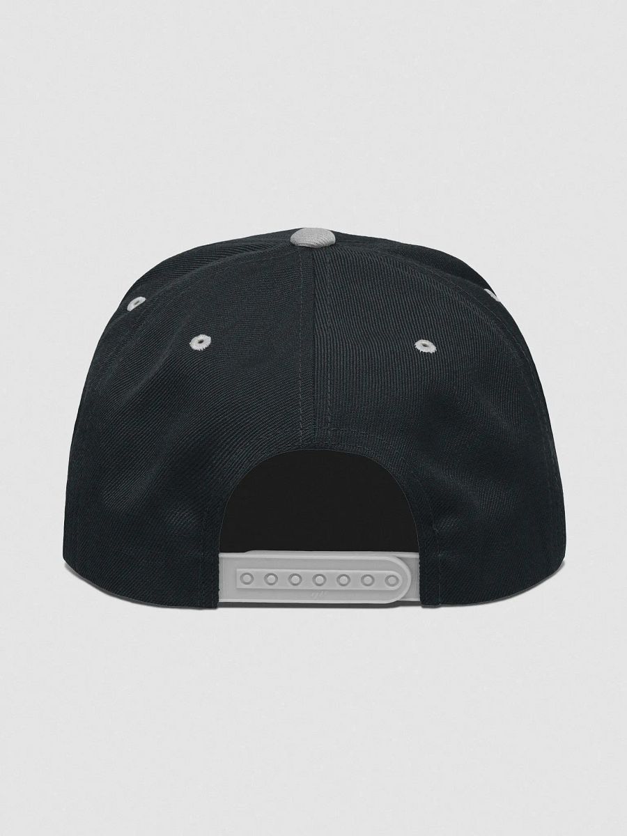Lion's Den Snapback product image (4)