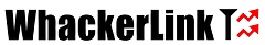 WhackerLink
