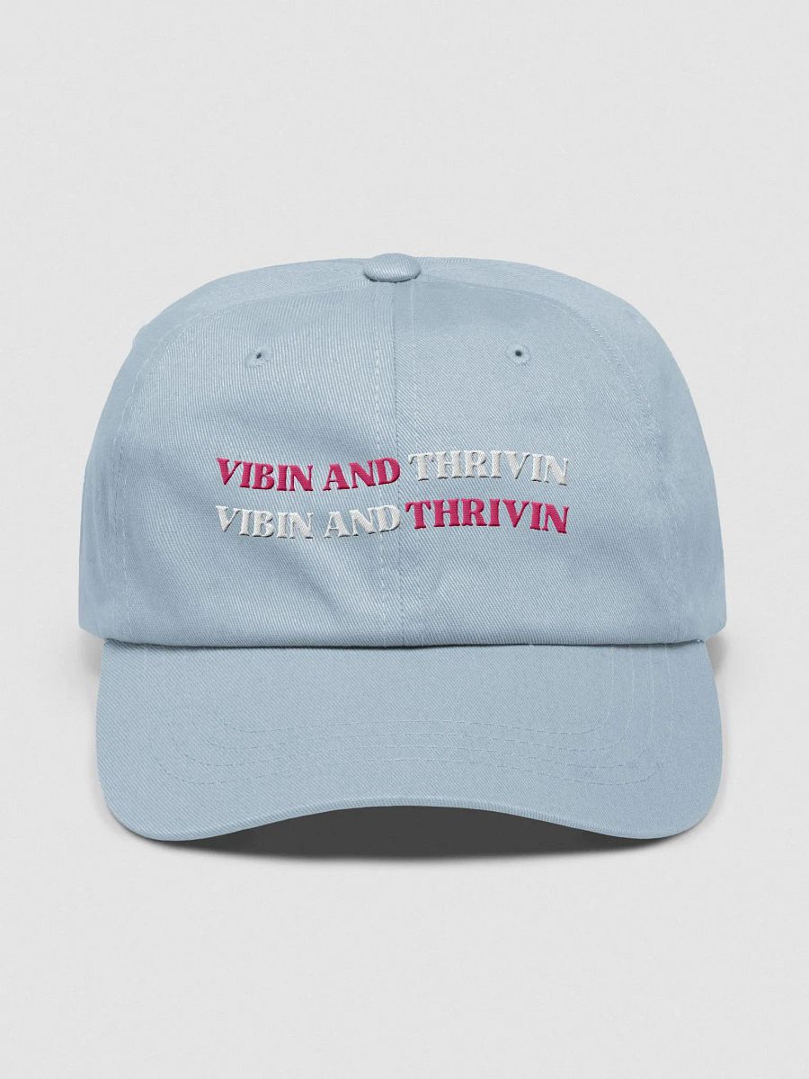 SK8's Vibin and Thrivin Hat product image (1)