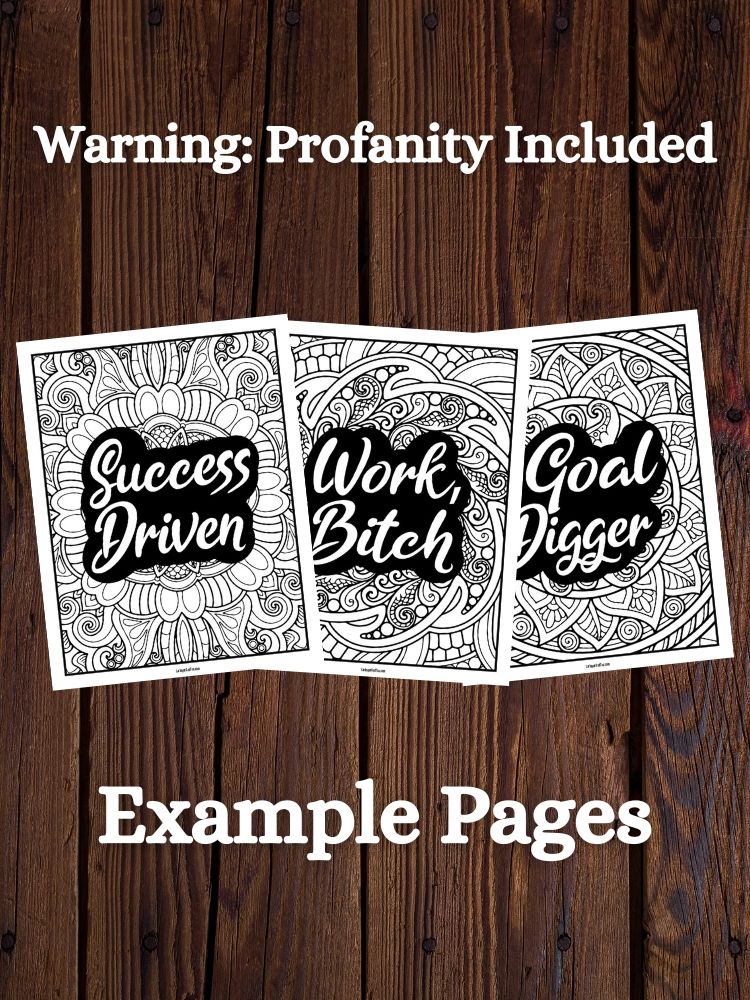 Kinda Sweet, Kinda Savage Adult Coloring Book | Profanity + Motivational Quotes product image (3)
