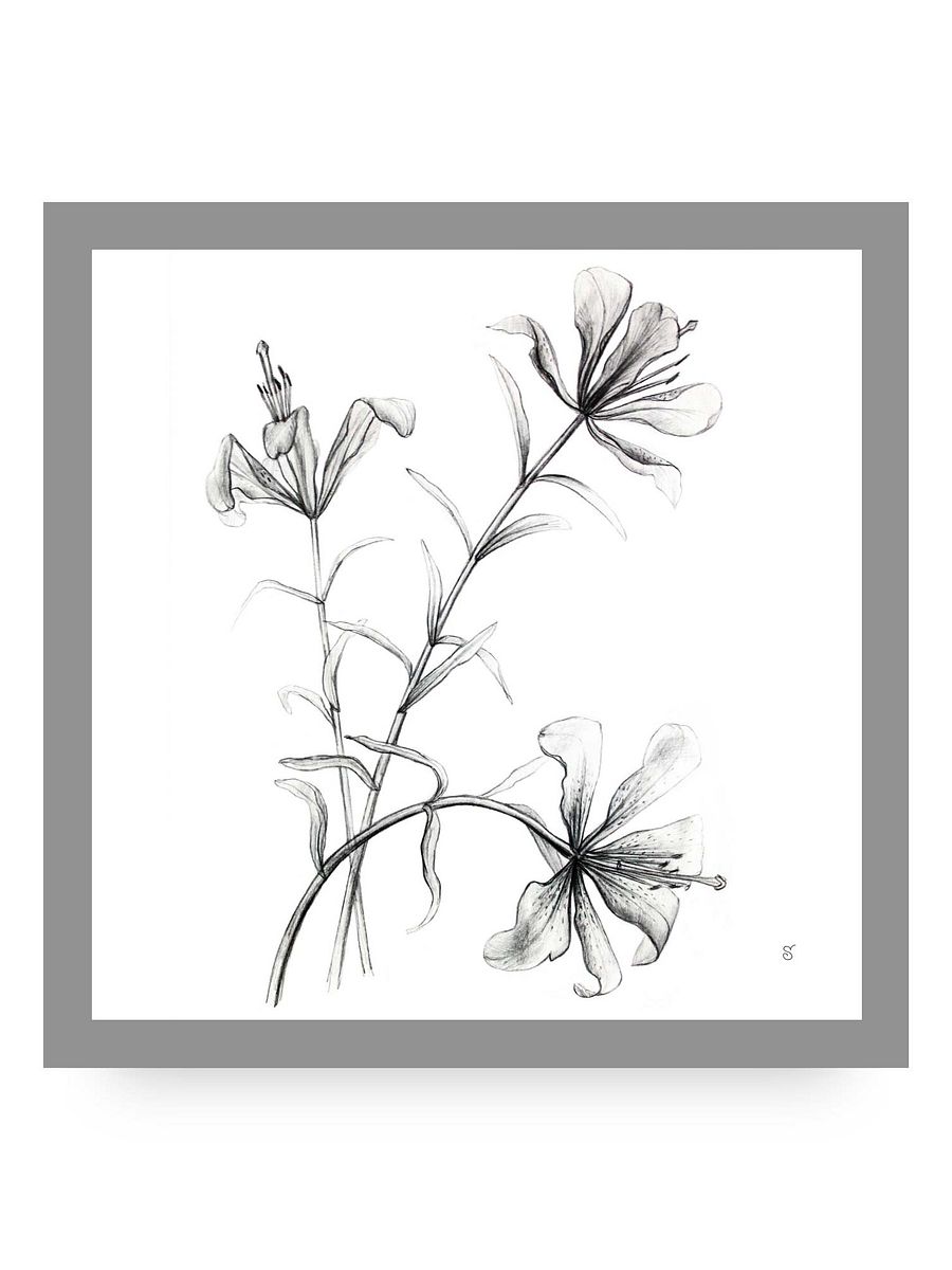 Blossom Canvas Collection - Wild Elegant Flowers product image (53)