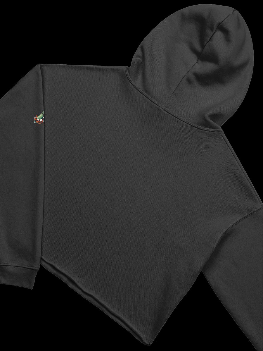 Hopeful Leaves Crop Hoodie product image (20)