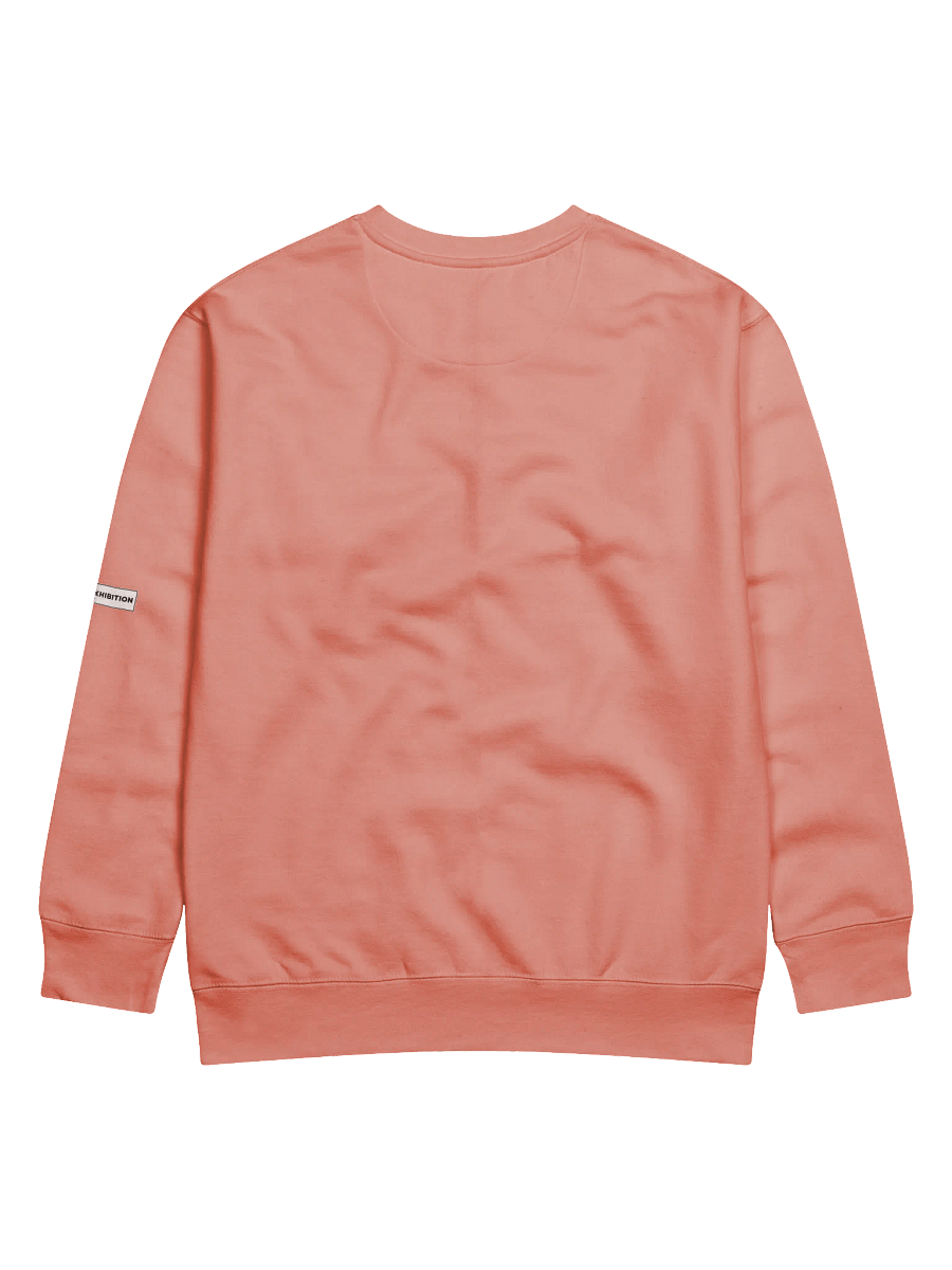 "MORE MUSCLES, LESS PROBLEMS" premium cotton sweatshirt product image (4)