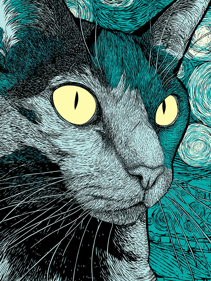 The Watcher Under Stars product image (1)