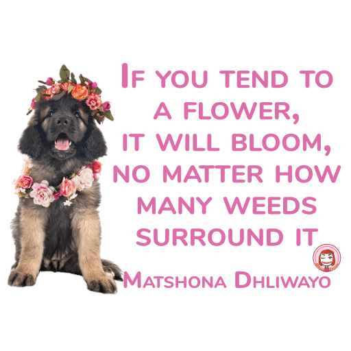 016-001 PNG 512px 300DPI | If you tend to a flower, it will bloom, no matter how many weeds surround it product image (1)