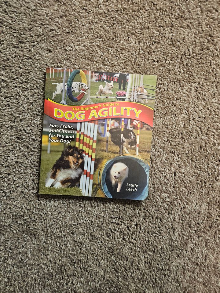 Dog Books and Big Magic product image (2)