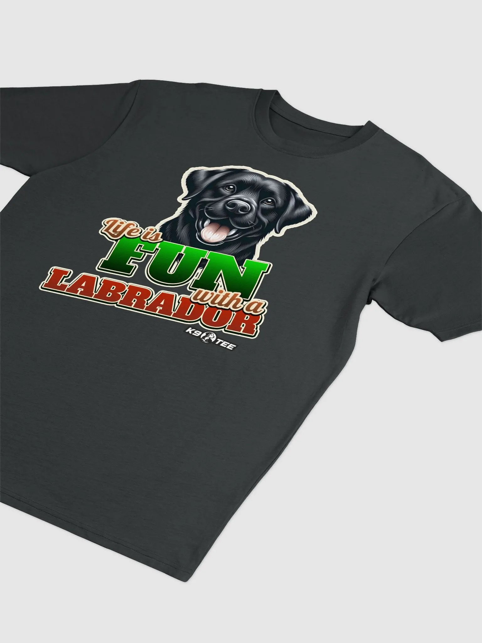 Fun with a LABRADOR Premium Tee product image (2)
